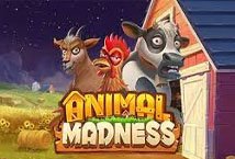 Animal Madness Slot Review